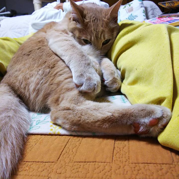 Bc6602af 9d3d 4a96 95f9 351305065b23 1588756825122