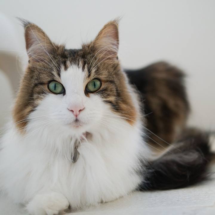 Bc6614f8 e23f 422a 8faa fdd61649ca66 1584420609280