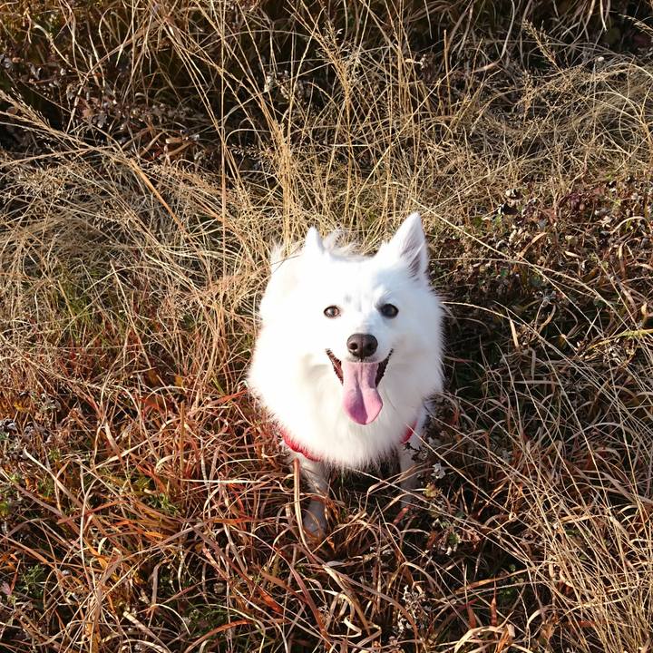 Bc663ad3 d948 4583 844d ae3bd1ffe08c 1546927507542