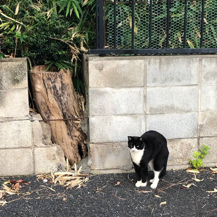 Bc663b88 7d6c 4e26 9d46 162237c58cc4 1569074093471