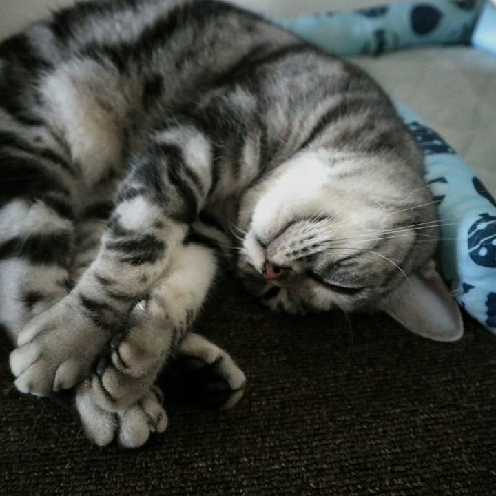 Bc66454d f01d 4234 830e 07abe93a603c 1590053915410