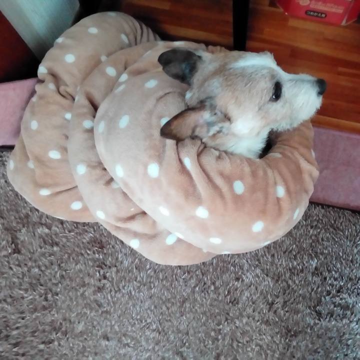 Bc665c81 dcb7 4e75 86a5 6ef4af9263a9 1518143333949