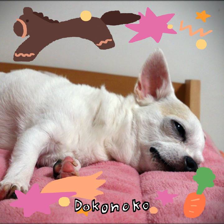 Bc6671ec 0d17 4600 81b6 08d86c9156a3 1771935354510