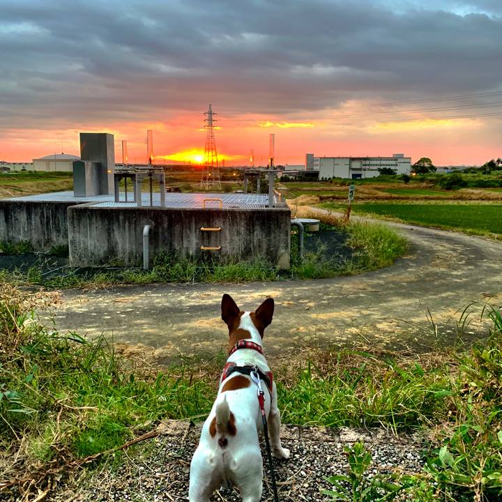 Bc669e1d 19e8 4fea 8259 d63a3afcfff7 1568456106735