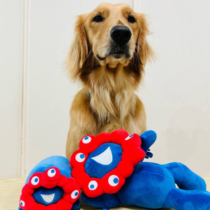 Bc66dfc8 c9fa 4b6c b43f 13de0b8d5aa2 1757040014666