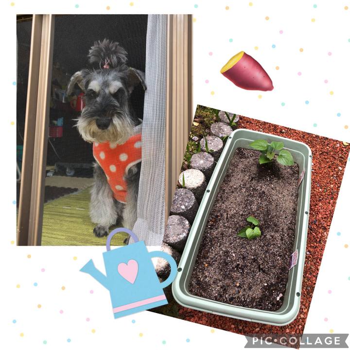 Bc671765 5315 4ad9 b867 0567c87490f3 1682837282389