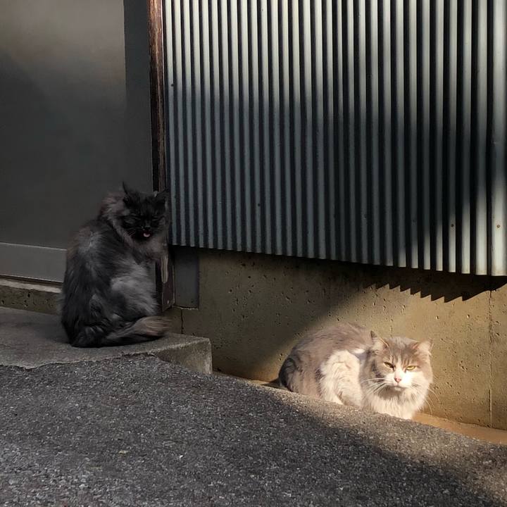 Bc673b8e 553f 4a19 821a 8325c8b5759b 1609361352839