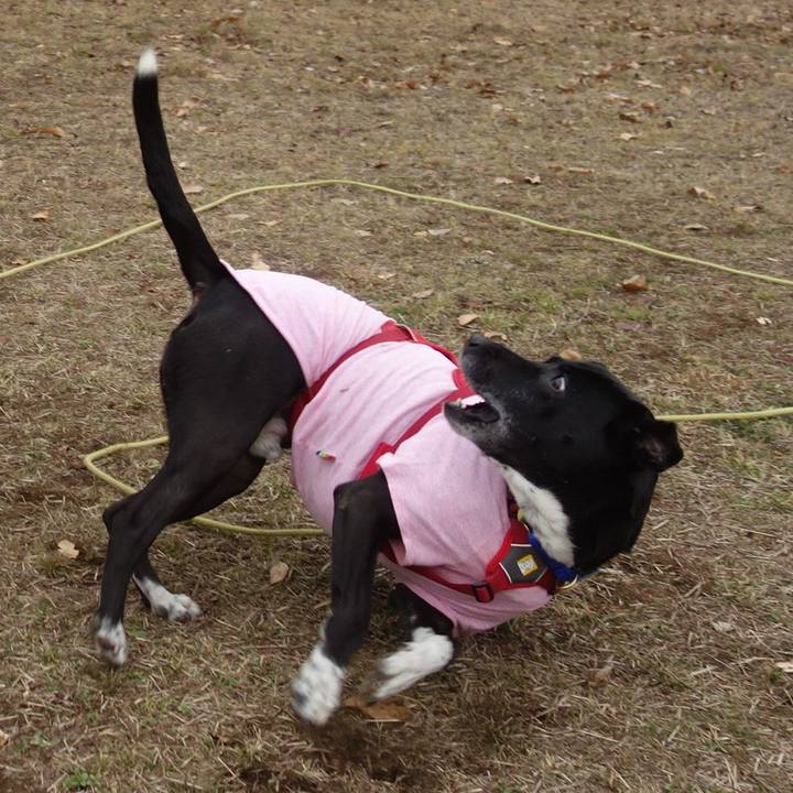 Bc675f8e 813b 4085 b4f0 3b97ca8087fa 1674435599962