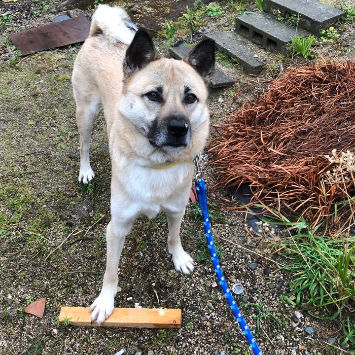 Bc676481 a7d1 49ed 9c8e 2f0761095eb5 1549540075037