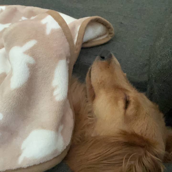 Bc679365 5907 4dfa 960d 44be91d7c70d 1687934647853