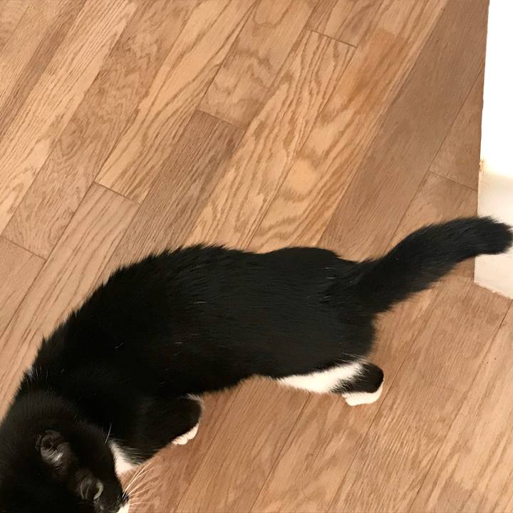 Bc67c618 0854 42c3 b785 1de1fa5515cb 1575808323400