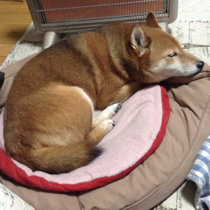 Bc67ebc9 7e5e 476e 8d41 50e28dd55986 1515375206230