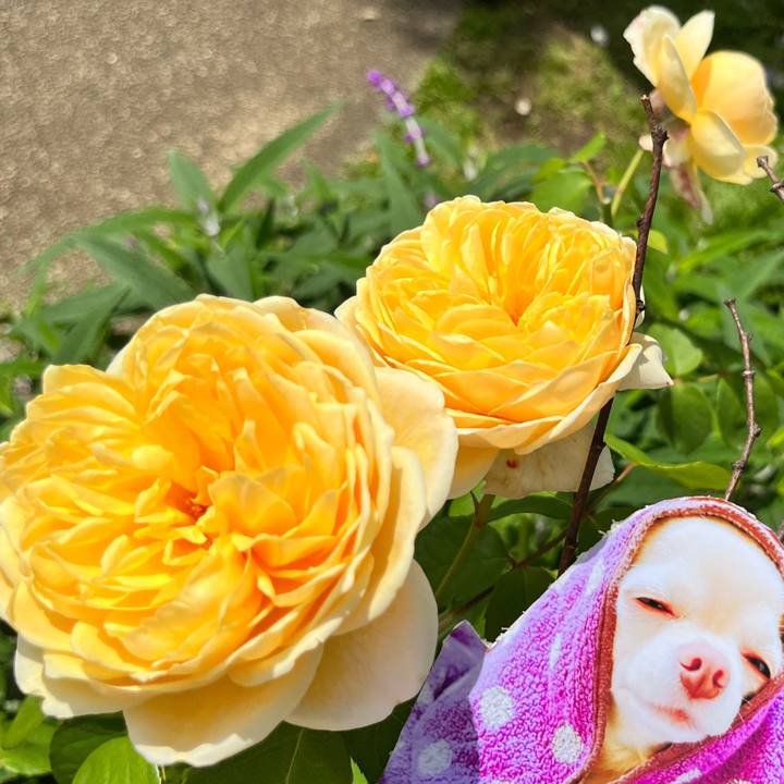 Bc67fb8d 0e68 4b62 ae1d f82aa78e60b7 1653284795147