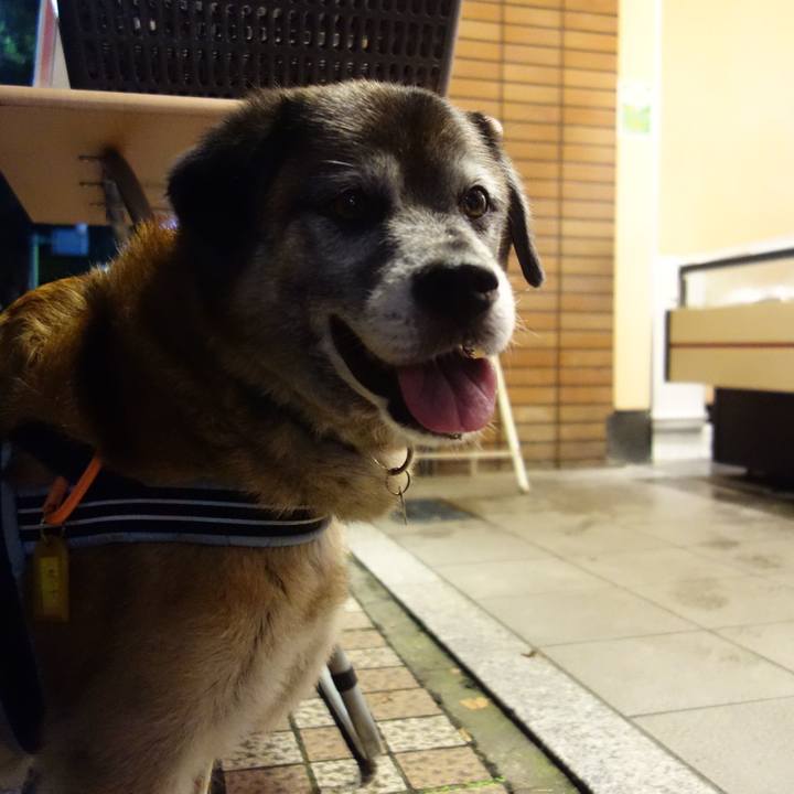 Bc6802b3 fe62 4aa9 8f57 4e32064306ec 1566569993666