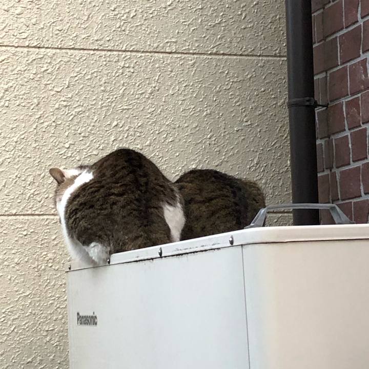 Bc681e51 c44c 4ec8 a1b3 254a3fd5c796 1544461131003