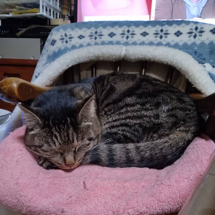 Bc683893 9505 4223 bbe9 805d8079a0c7 1675339582544