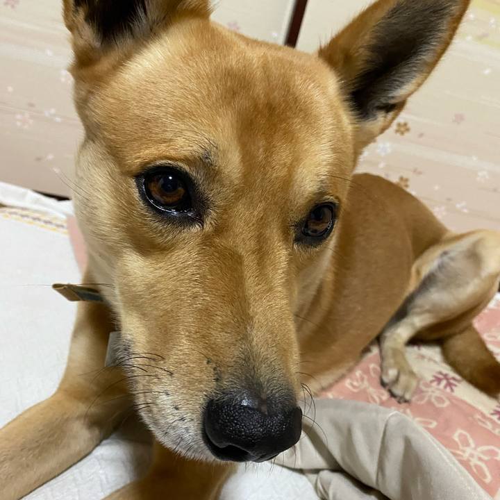 Bc68a859 d200 49b7 8f1b c99347527c07 1667909226965