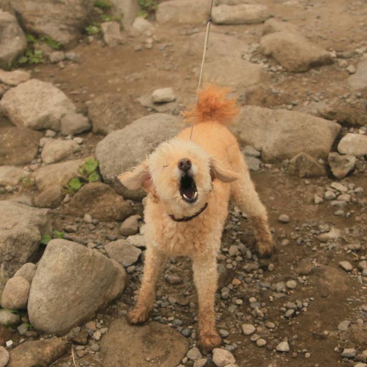 Bc68b299 d9a2 4a37 84eb 561a02782525 1630412293542