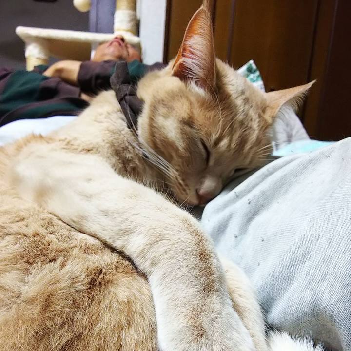 Bc68da66 f9a6 4215 84f1 f2ef6504bab5 1642765129138