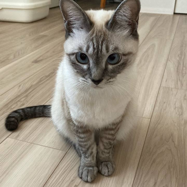 Bc691d40 da42 4841 a7da 4d03574cb226 1603240318042