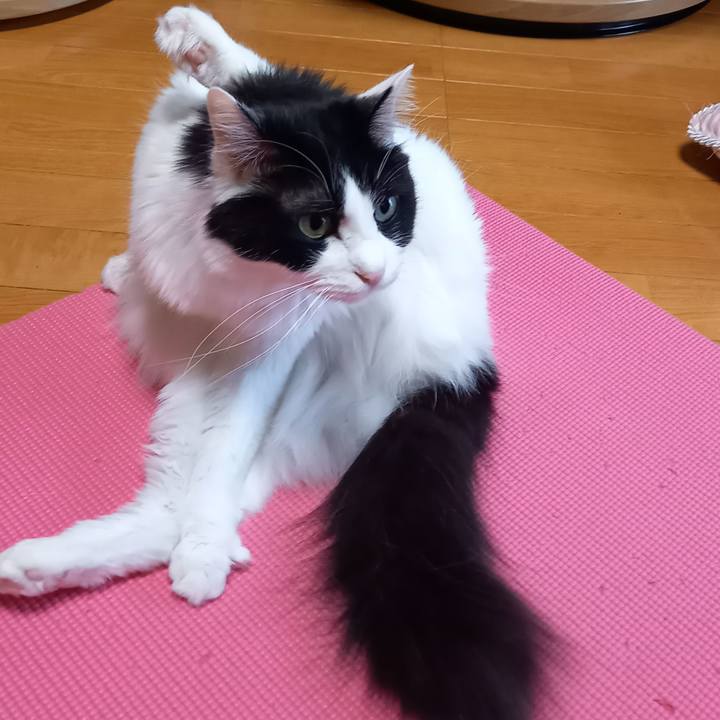 Bc69a164 842d 4390 b570 71f6c357464e 1609903536634