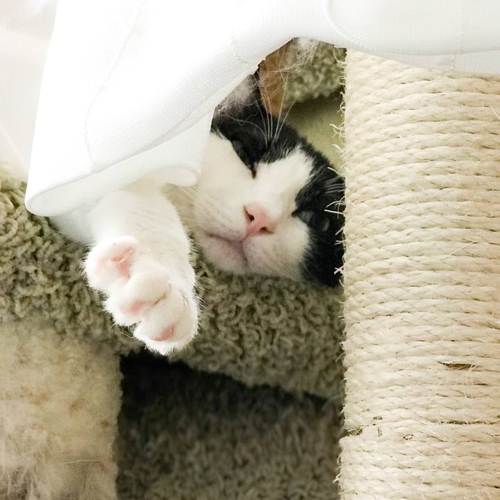 Bc69a814 c42a 41b0 b23f b0e5d8f9c2f0 1533825716900