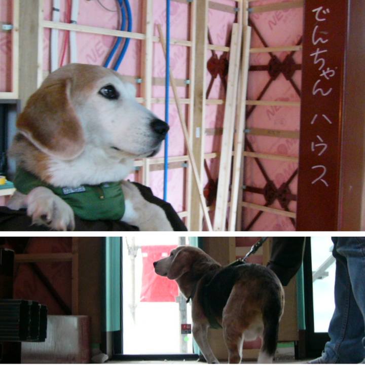 Bc69c827 dc2a 4ecd bb53 4d71e43a8f19 1681260861910