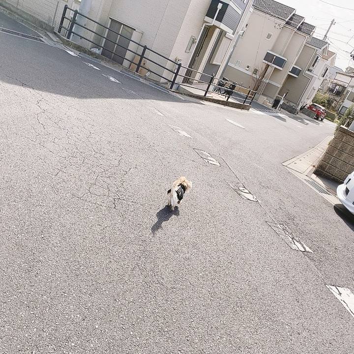 Bc69d7f6 5368 4dad a184 a5c86b2e9613 1614580791682