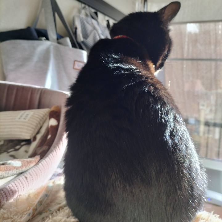 Bc6a3a33 1625 47d8 a826 c16942bc249d 1634769977363