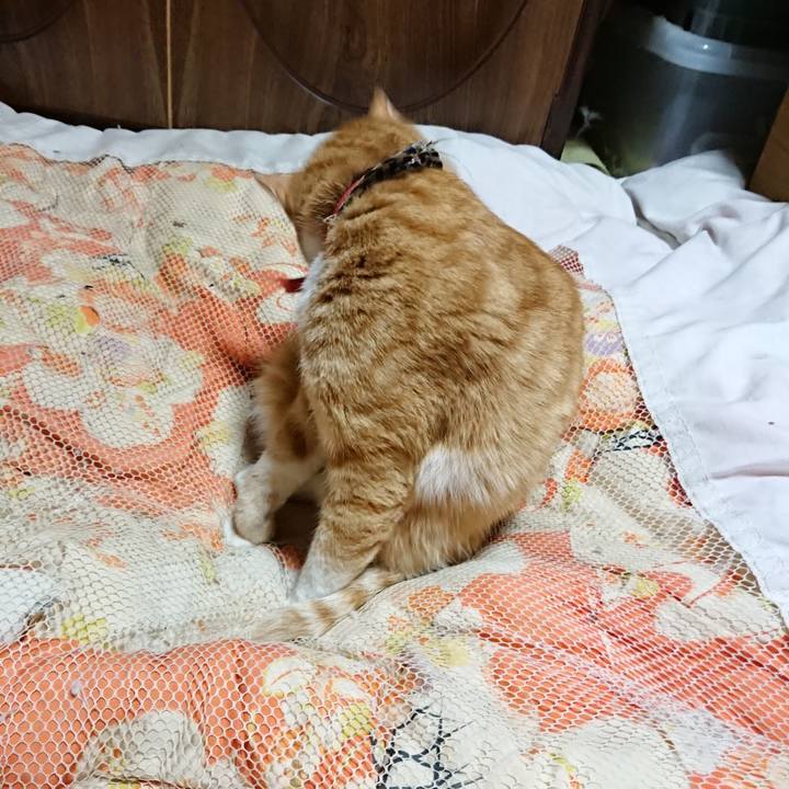 Bc6a5911 2fec 49a8 973f 7f821656567c 1573561078742