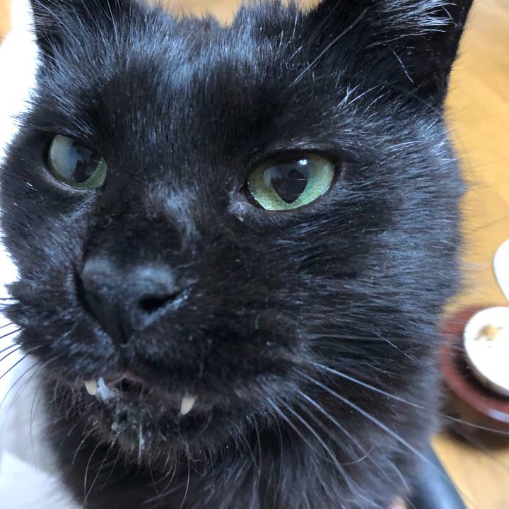 Bc6a6aa8 eafc 44b3 998c 384f6664ef56 1631965771735