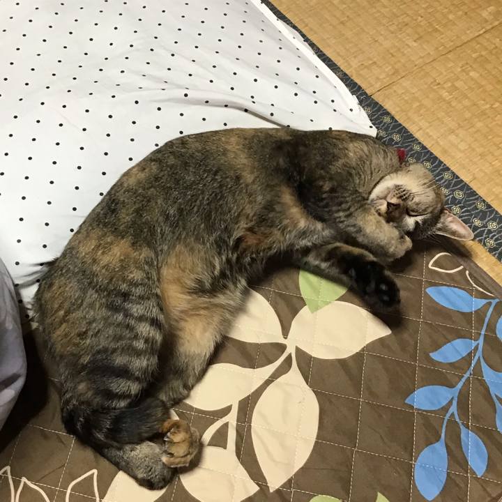 Bc6a7ceb 97a4 4e91 9ac9 093fd004fa69 1602910522168