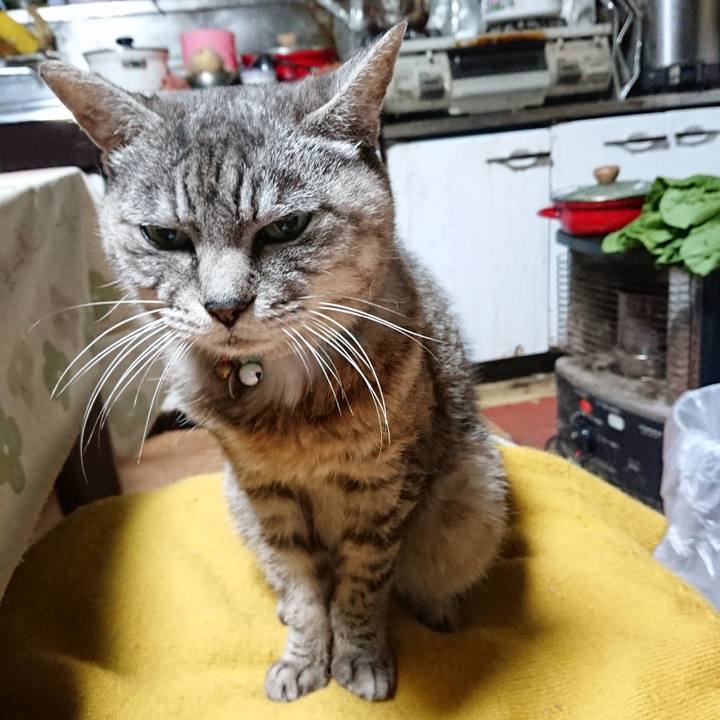 Bc6abc51 04a0 46e2 9f88 78a380ed8b98 1570223600622