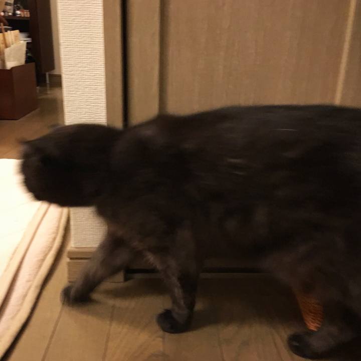 Bc6ac8c3 448c 46ab a752 209389ac6e85 1527171948583