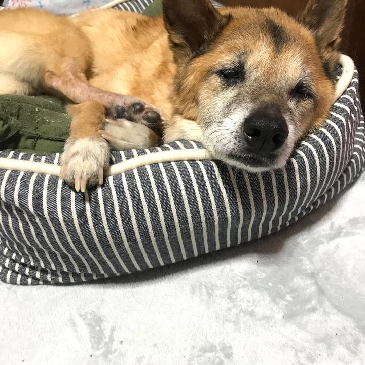 Bc6ad377 2b0c 4a3f 9089 c4431a53a427 1565438876390