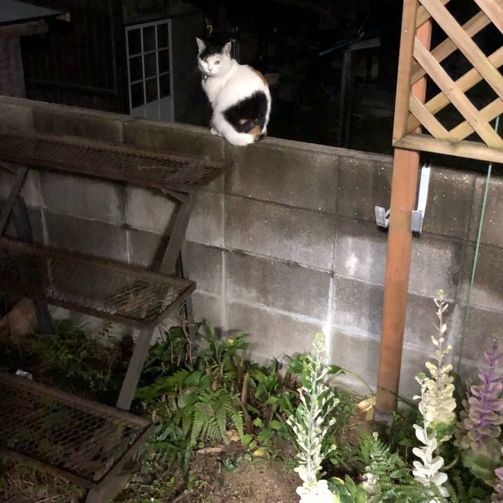 Bc6ad3e1 57ed 4b80 ba36 7f3c68449d1b 1615978622948