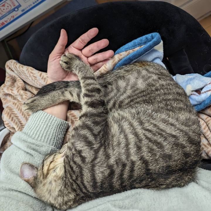 Bc6ad596 59ab 4ee9 8cc7 43f2e2a3fd1e 1705550826608