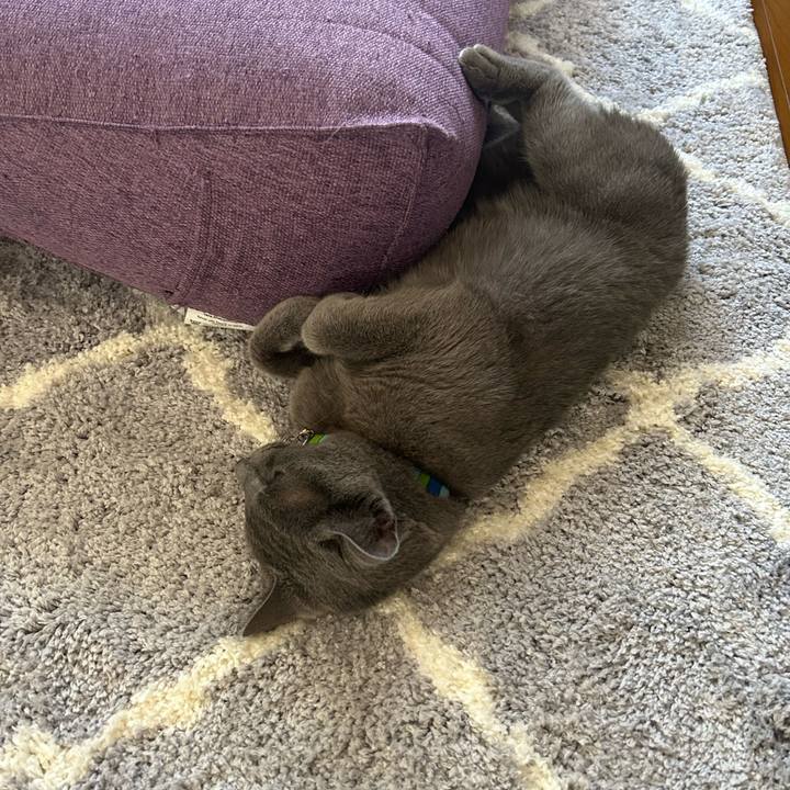 Bc6aec9f 7165 463c 9cda 2799481a8c22 1690071433577