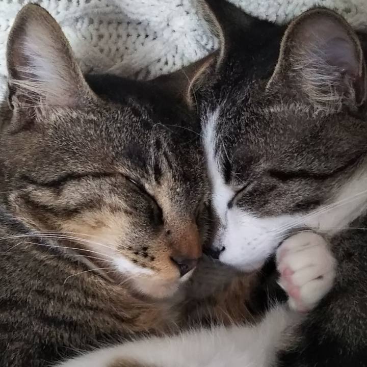 Bc6aee5a 32ee 41fb 981f f1c5dd103889 1641422086141