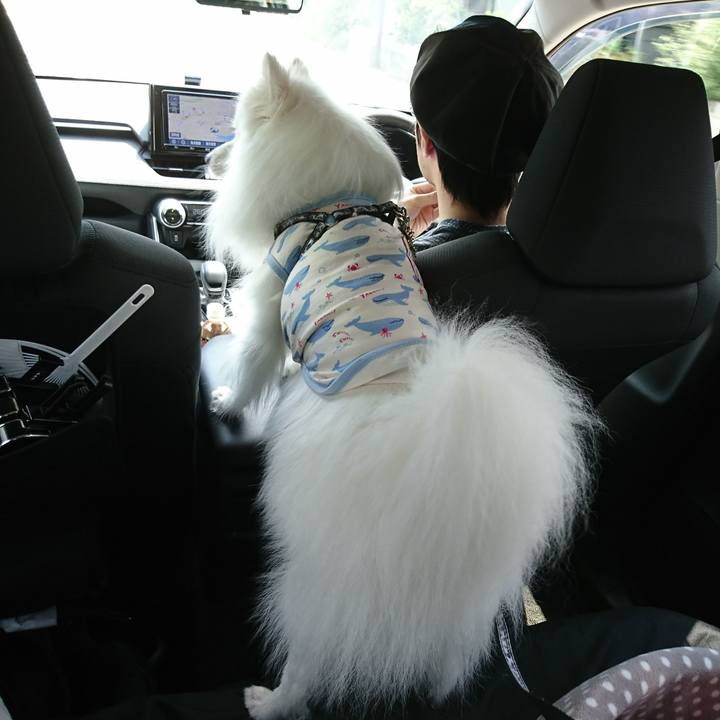 Bc6b207f 18ea 4aae 8e9a e6cd944dce4c 1596162071371