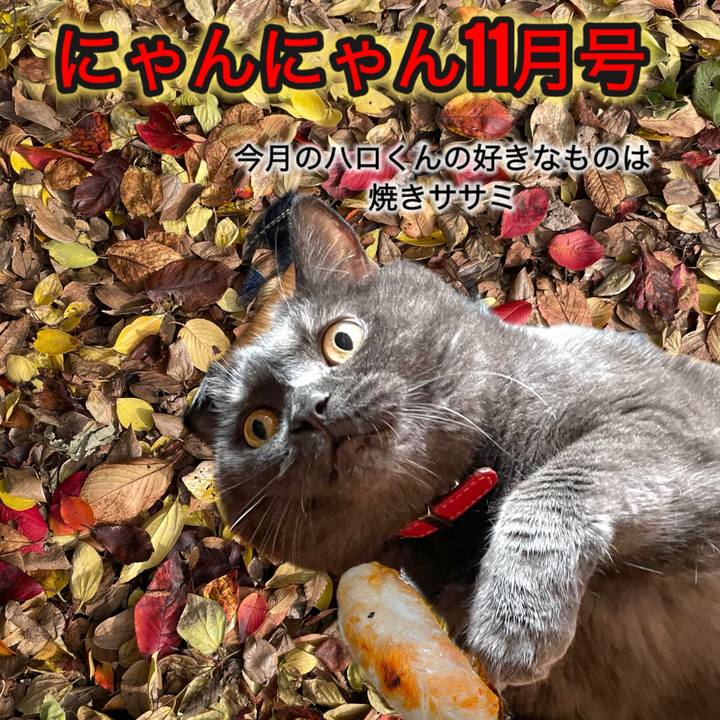 Bc6b3c93 6cb4 4452 835f 5ac5ddae4c23 1763117828451