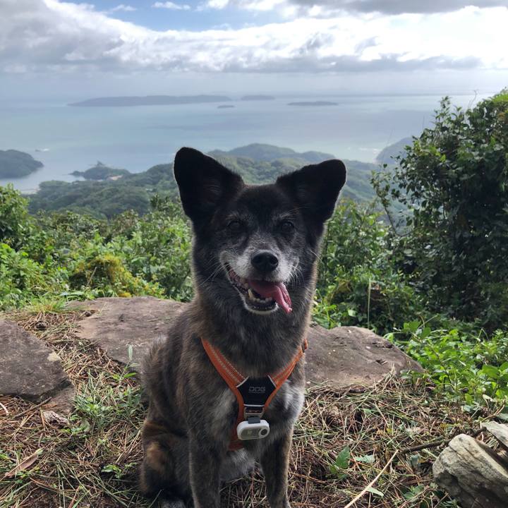 Bc6b41c9 2ed2 478a 9a93 4b60e914ee67 1663298376792