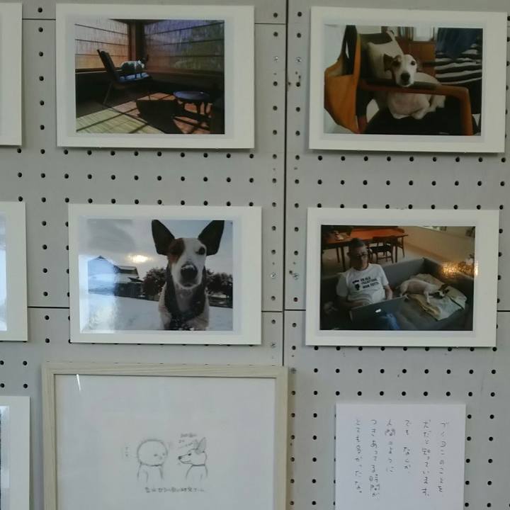 Bc6b48ae 1e2e 4eb4 bd19 77b0494f7aa1 1524239632118