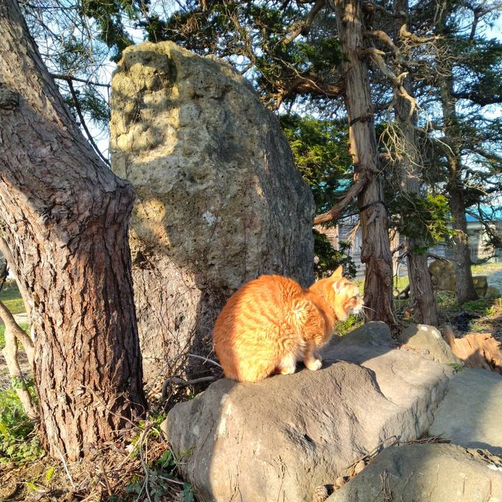 Bc6b4dfd 0d64 4344 b371 b2acbc1500b2 1681080326528