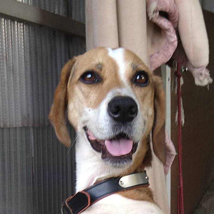 Bc6b557e 1004 418f b94c ee2b23ecd4ff 1631015037457