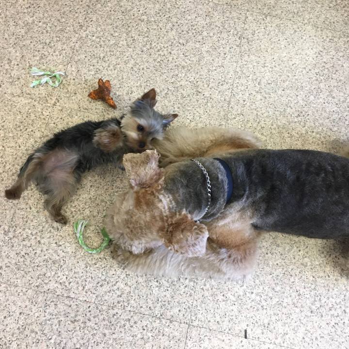 Bc6b94ba 94b4 4036 a7bb 95a1af367eed 1552558366237