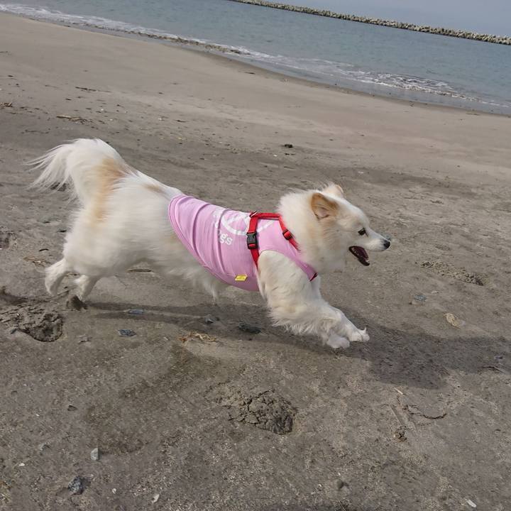 Bc6be1a1 93d3 449b 80fb ee9170795508 1524046050876