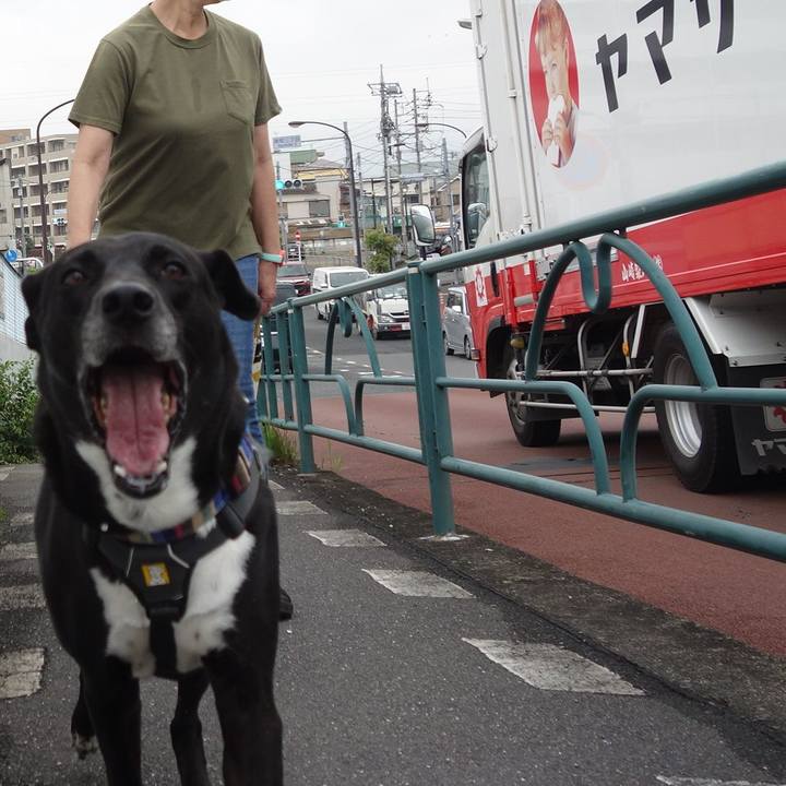 Bc6c036b 35f1 402c b985 19c62902630f 1655858332330