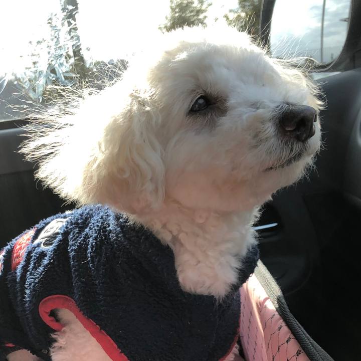 Bc6c2922 8e0a 4d25 a461 e3ffd749beeb 1548596512910