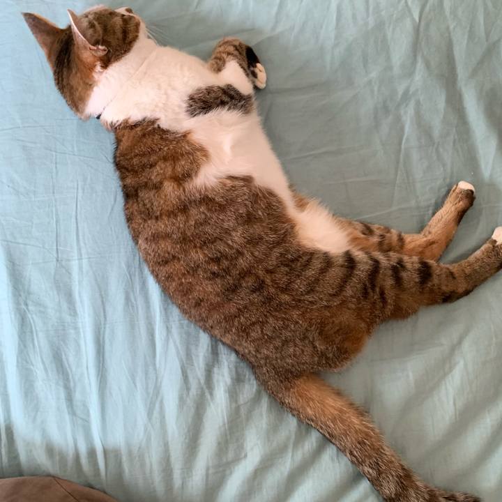 Bc6c40ea 7be7 4894 94da 3a9db504369f 1590911619129